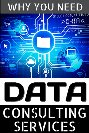 Data Consulting Services